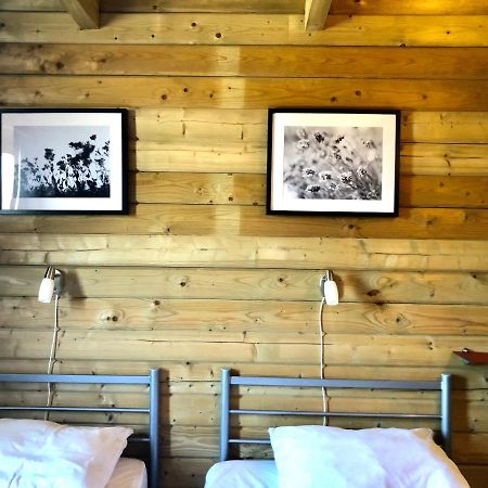 6 Persoons Vakantiehuis Met Sauna, Dichtbij Zee Sint-Annaland Exterior foto